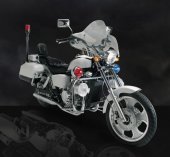 2009 Johnny Pag Police Escort 300 photo